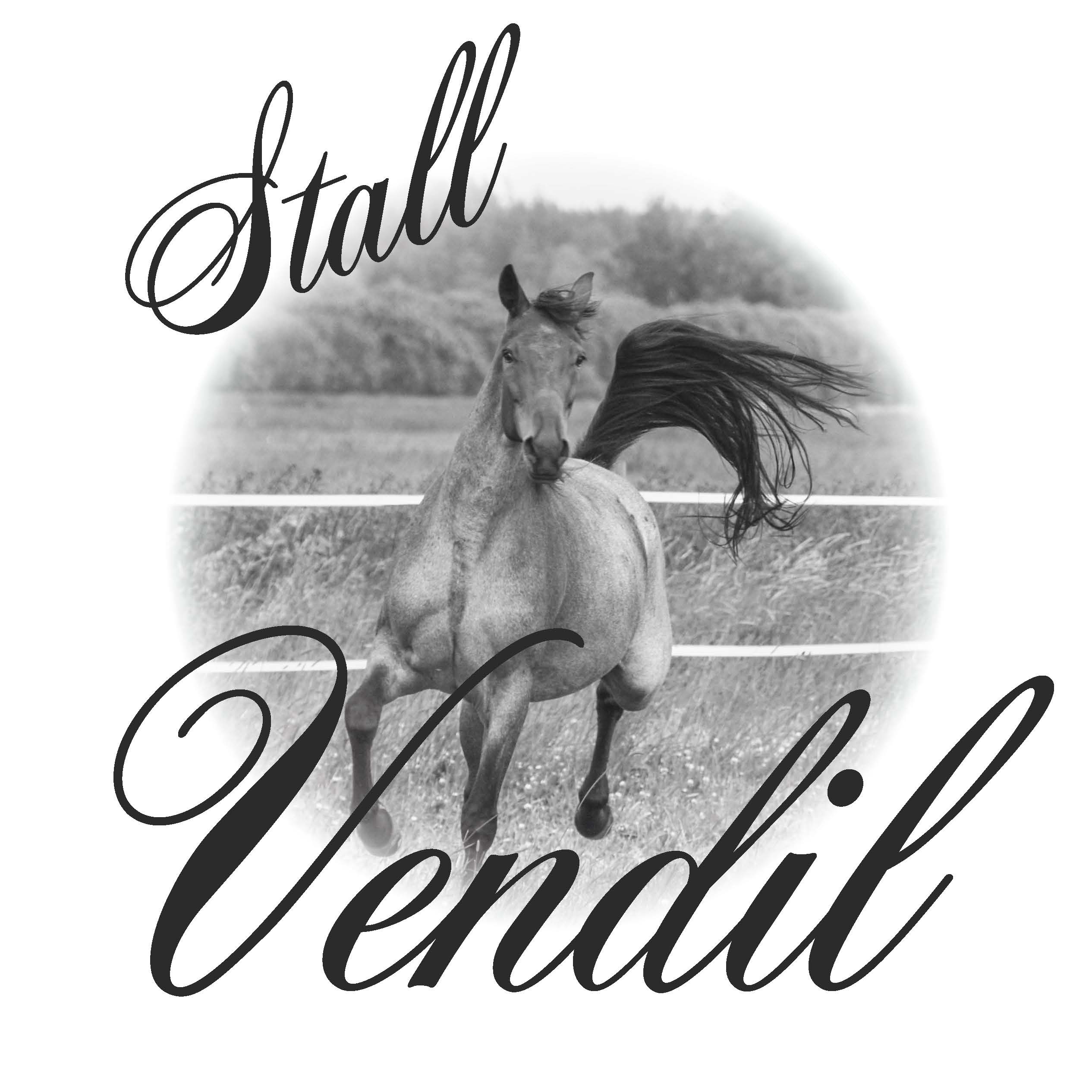 Stall Vendil